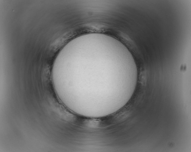 X0000111180318200907151330