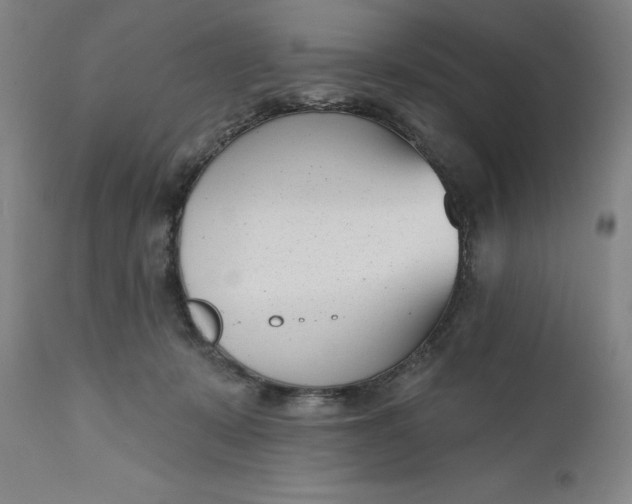 X0000111180319200907151330