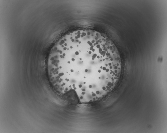 X0000111180320200907151330