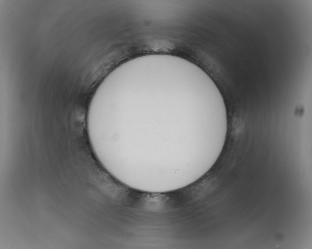 X0000111180321200907151330