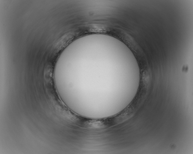 X0000111180322200907151330