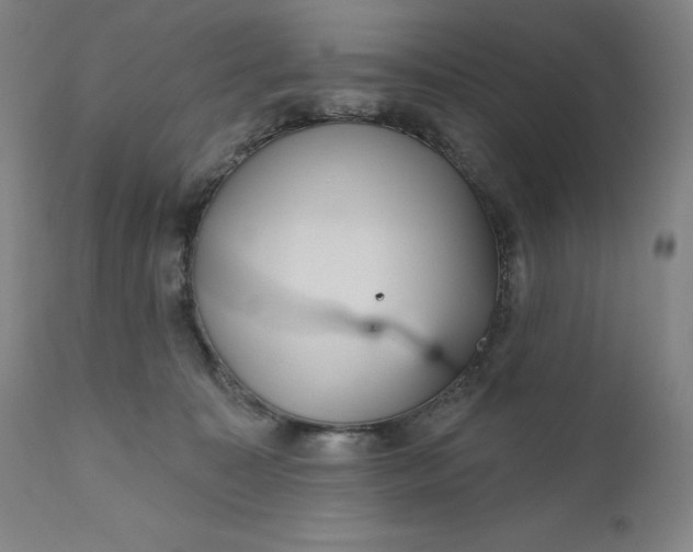 X0000111180323200907151330