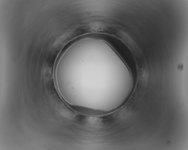 X0000111180327200907151330