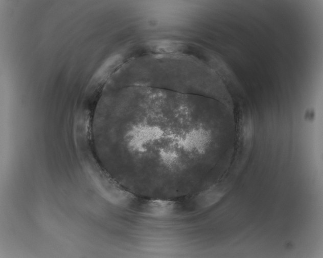 X0000111180328200907151330