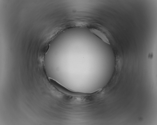 X0000111180329200907151330