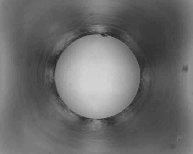 X0000111180330200907151330