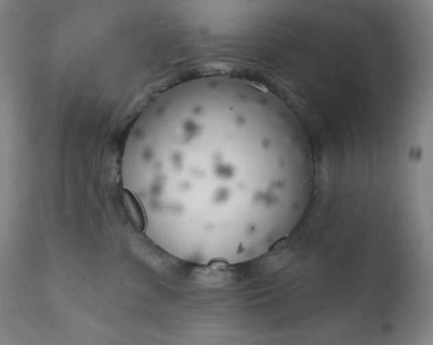 X0000111180331200907151330