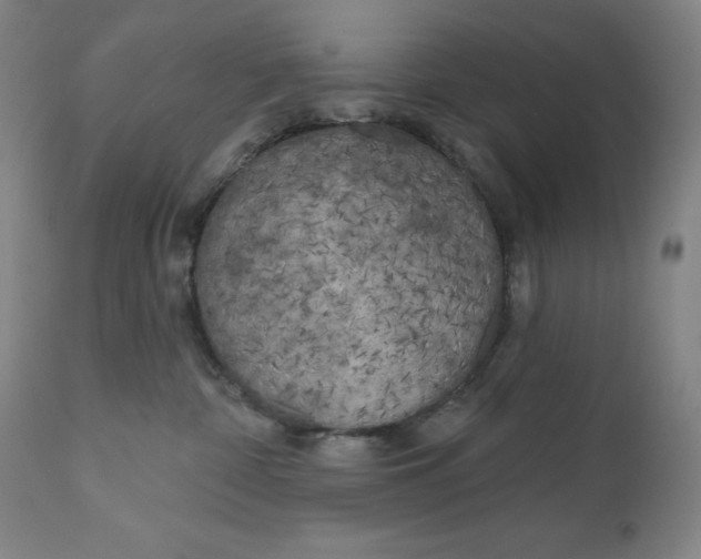 X0000111180332200907151330