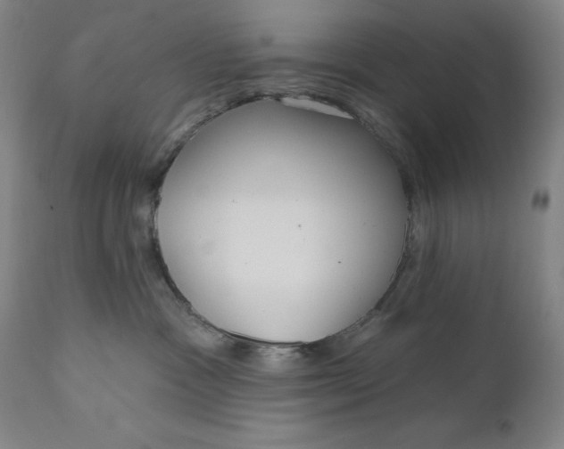 X0000111180333200907151330