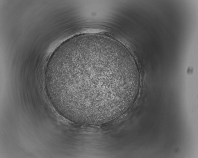 X0000111180337200907151330