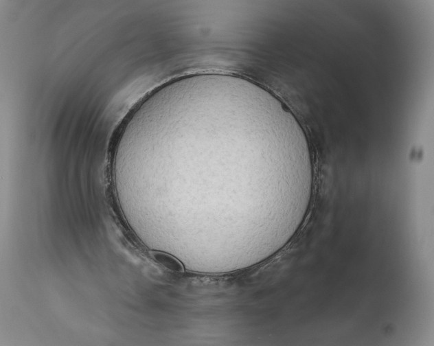 X0000111180338200907151330