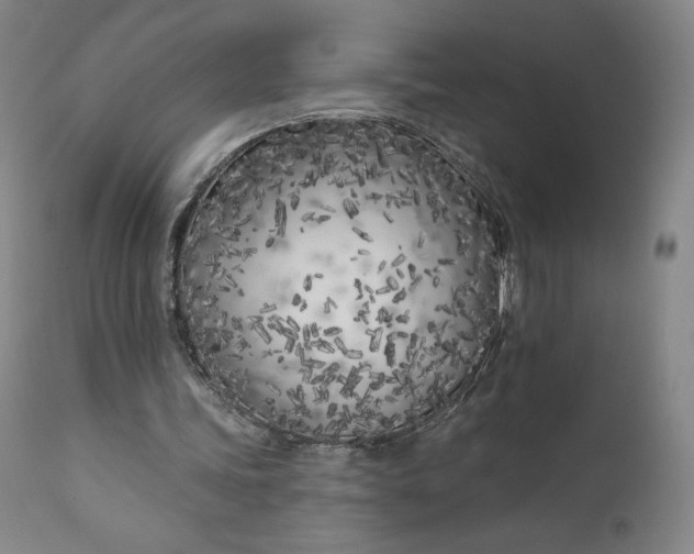 X0000111180339200907151330