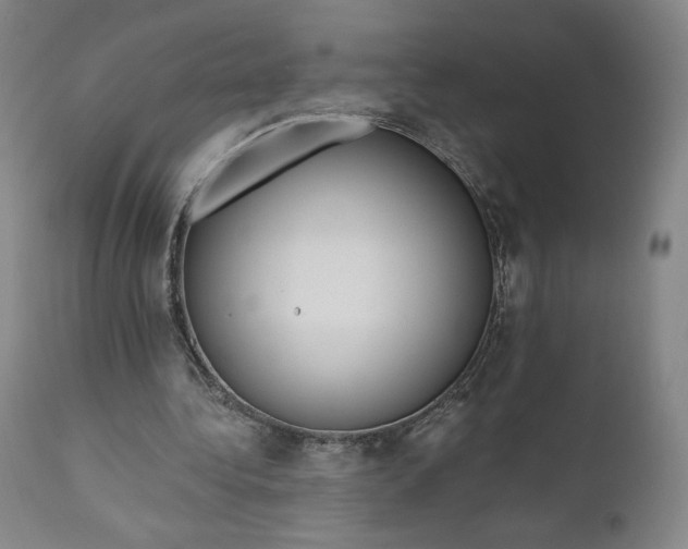 X0000111180340200907151330