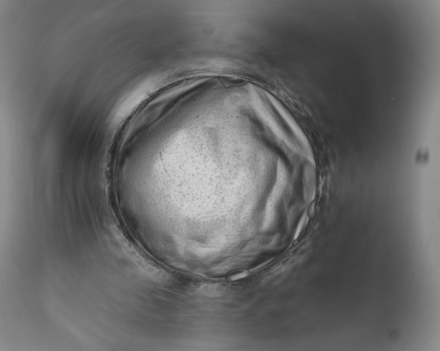 X0000111180341200907151330