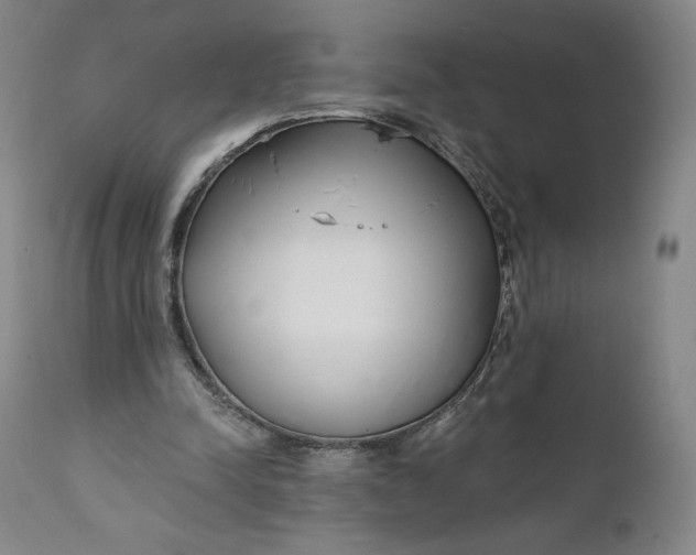 X0000111180342200907151330