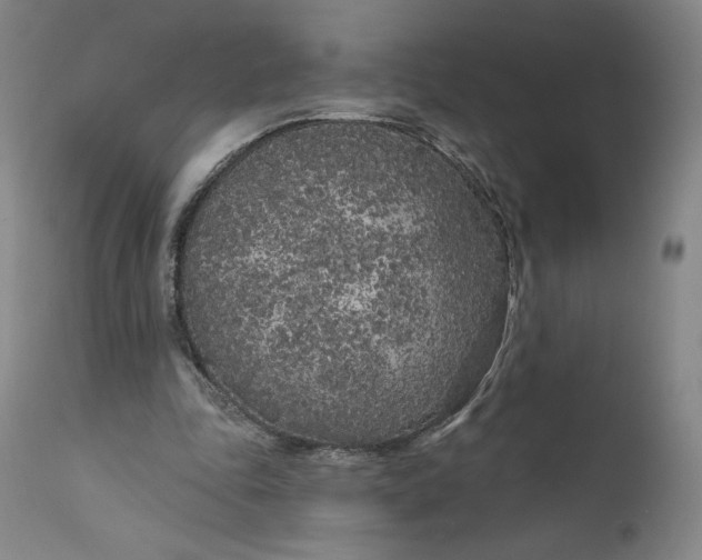 X0000111180343200907151330