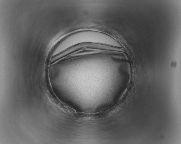 X0000111180344200907151330