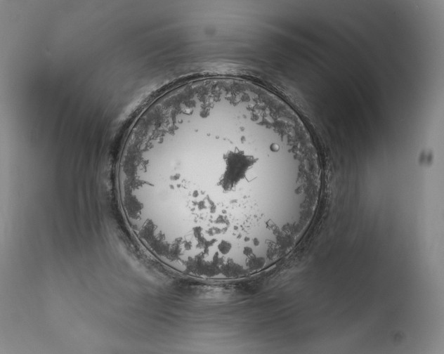 X0000111180347200907151330