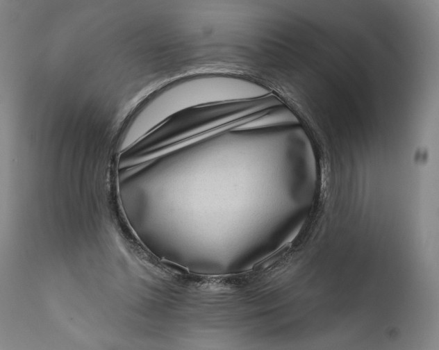 X0000111180348200907151330