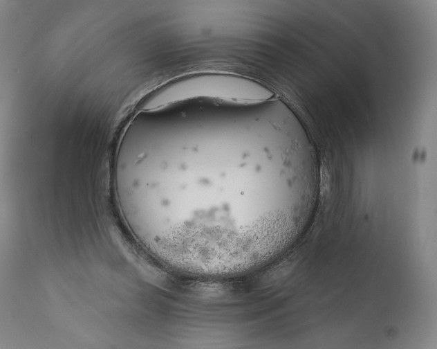 X0000111180349200907151330