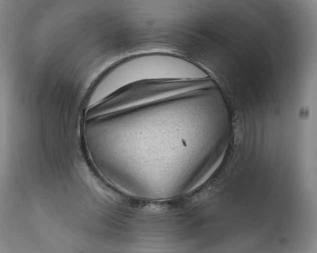 X0000111180350200907151330