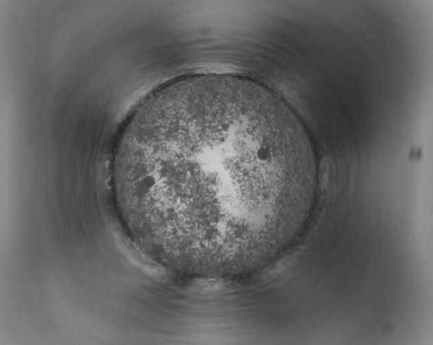 X0000111180351200907151330