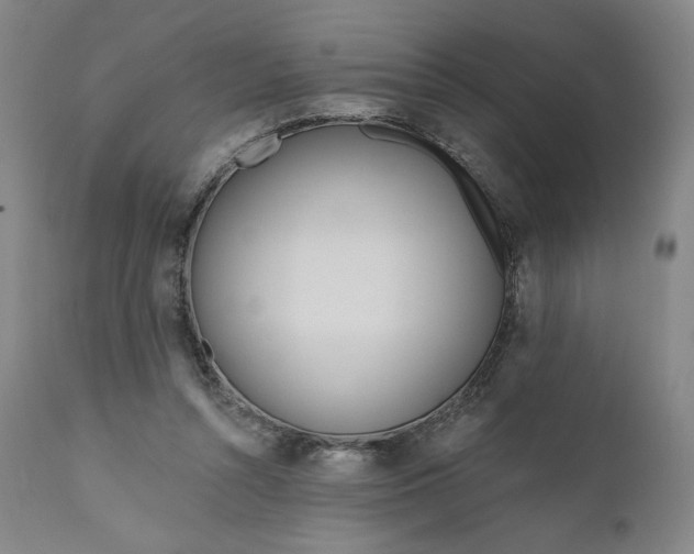 X0000111180352200907151330