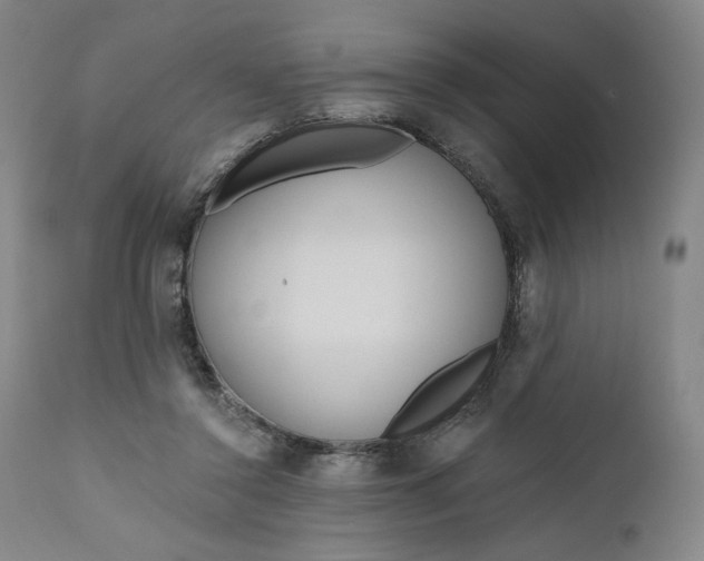 X0000111180356200907151330