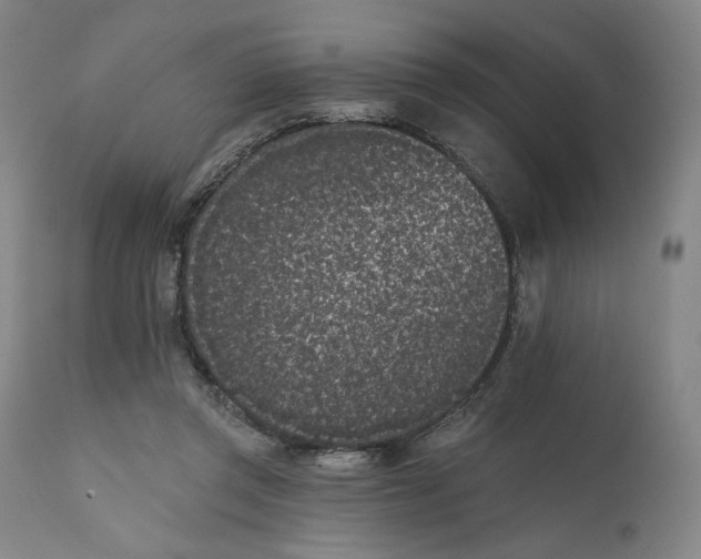 X0000111180357200907151330