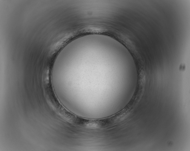 X0000111180358200907151330