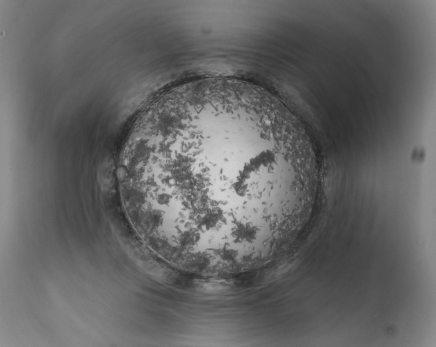 X0000111180359200907151330