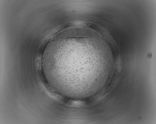 X0000111180360200907151330