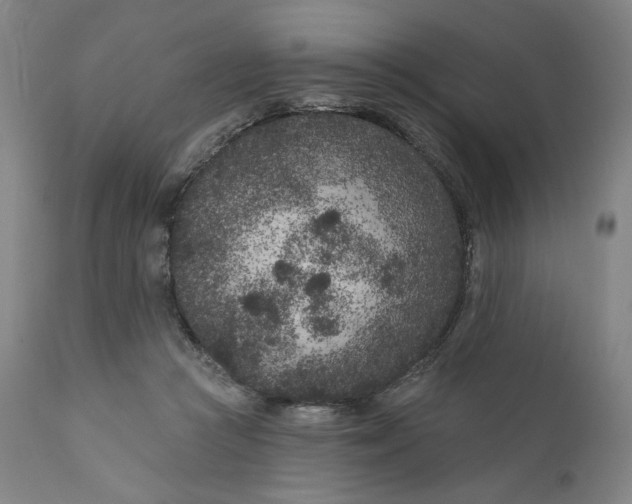 X0000111180361200907151330