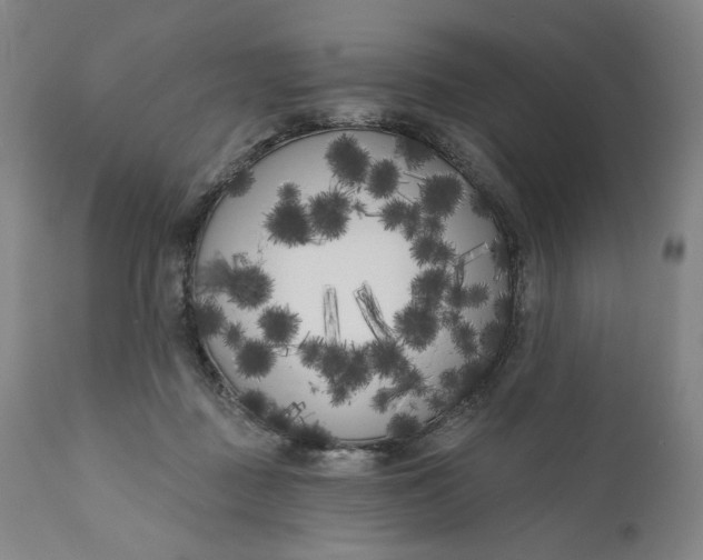 X0000111180363200907151330