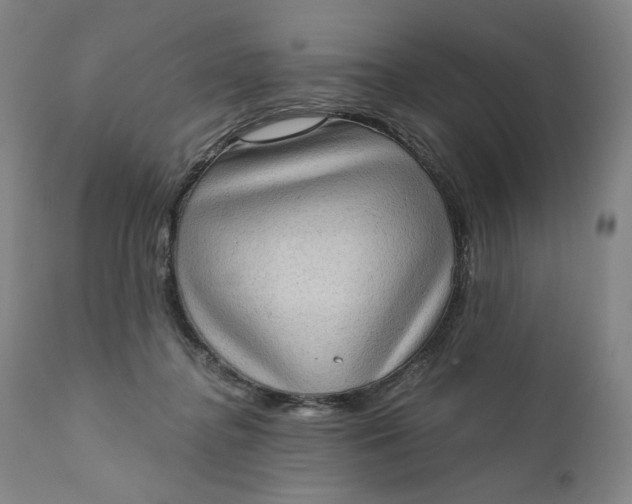 X0000111180364200907151330