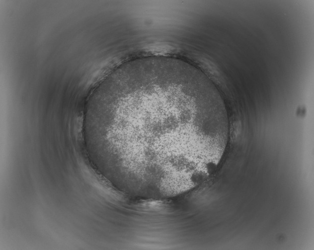 X0000111180365200907151330