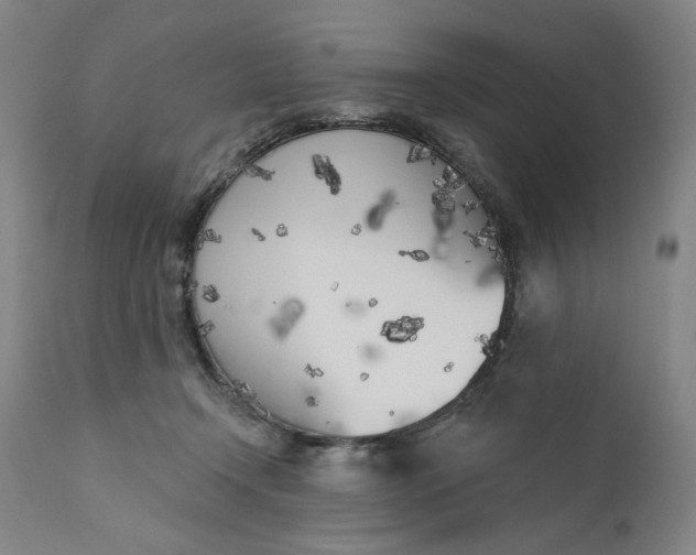 X0000111180366200907151330