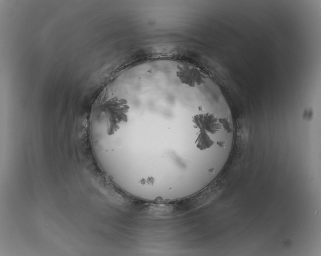 X0000111180369200907151330