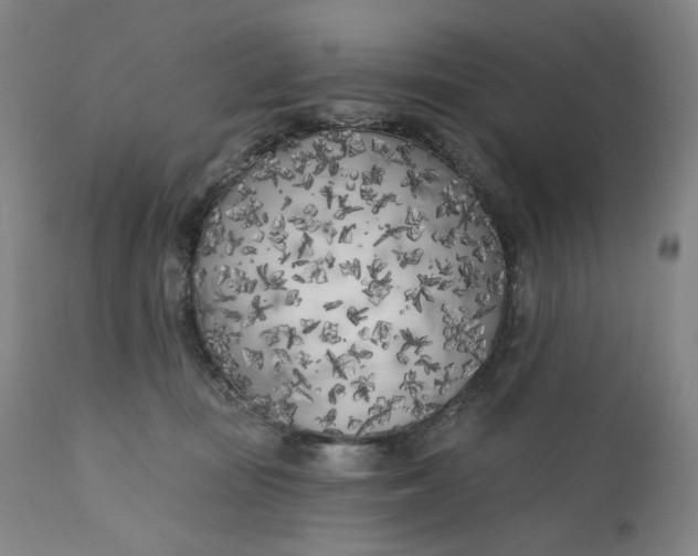 X0000111180371200907151330