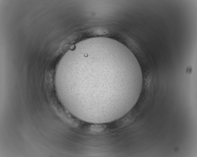 X0000111180373200907151330