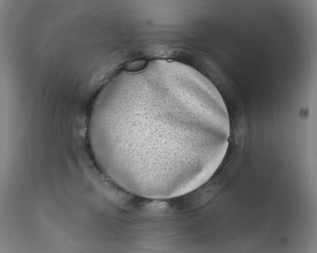 X0000111180374200907151330