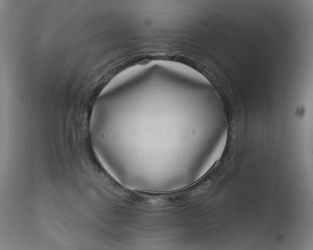 X0000111180376200907151330