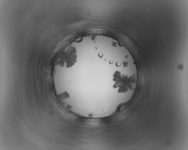 X0000111180377200907151330