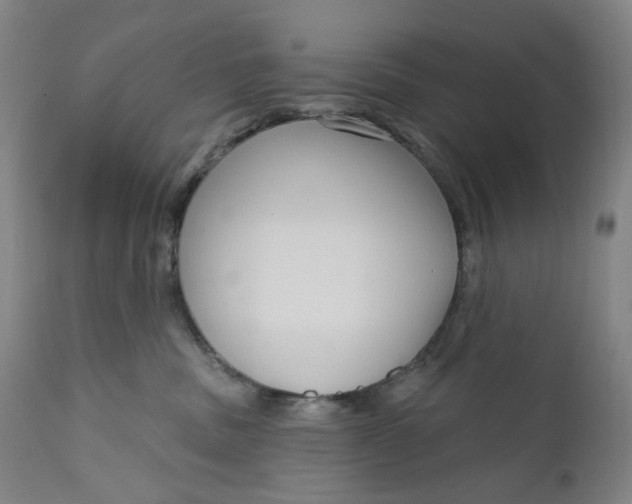 X0000111180379200907151330