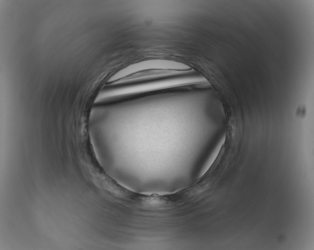 X0000111180380200907151330