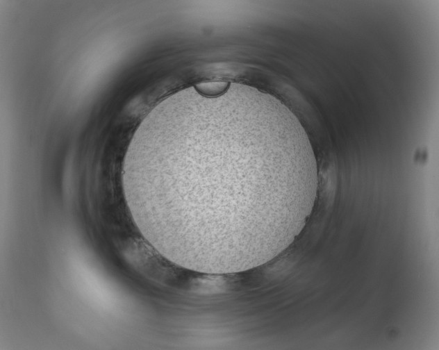 X0000111180381200907151330