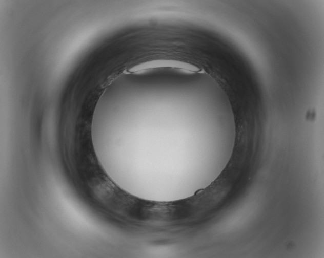 X0000111180383200907151330