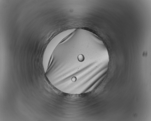 X0000111180384200907151330