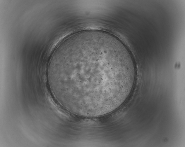 X0000111180386200907151330