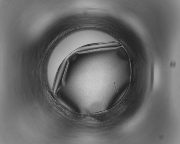 X0000111180387200907151329